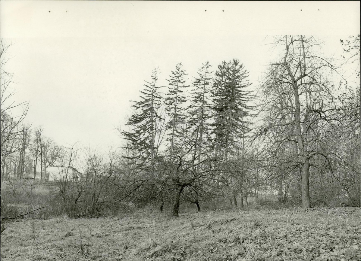 EP - Ewidencja parkowa, skan nr 31