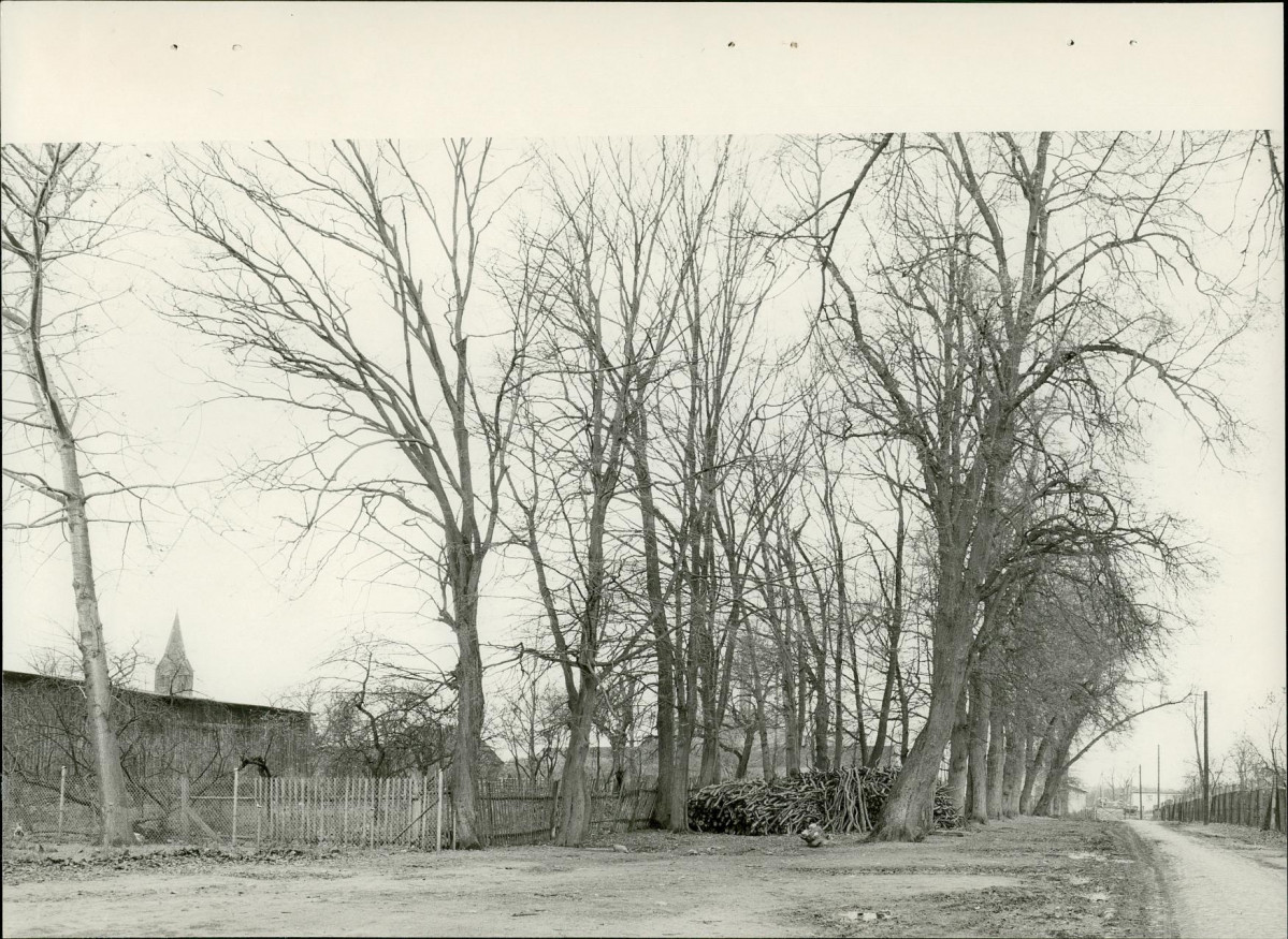 EP - Ewidencja parkowa, skan nr 33