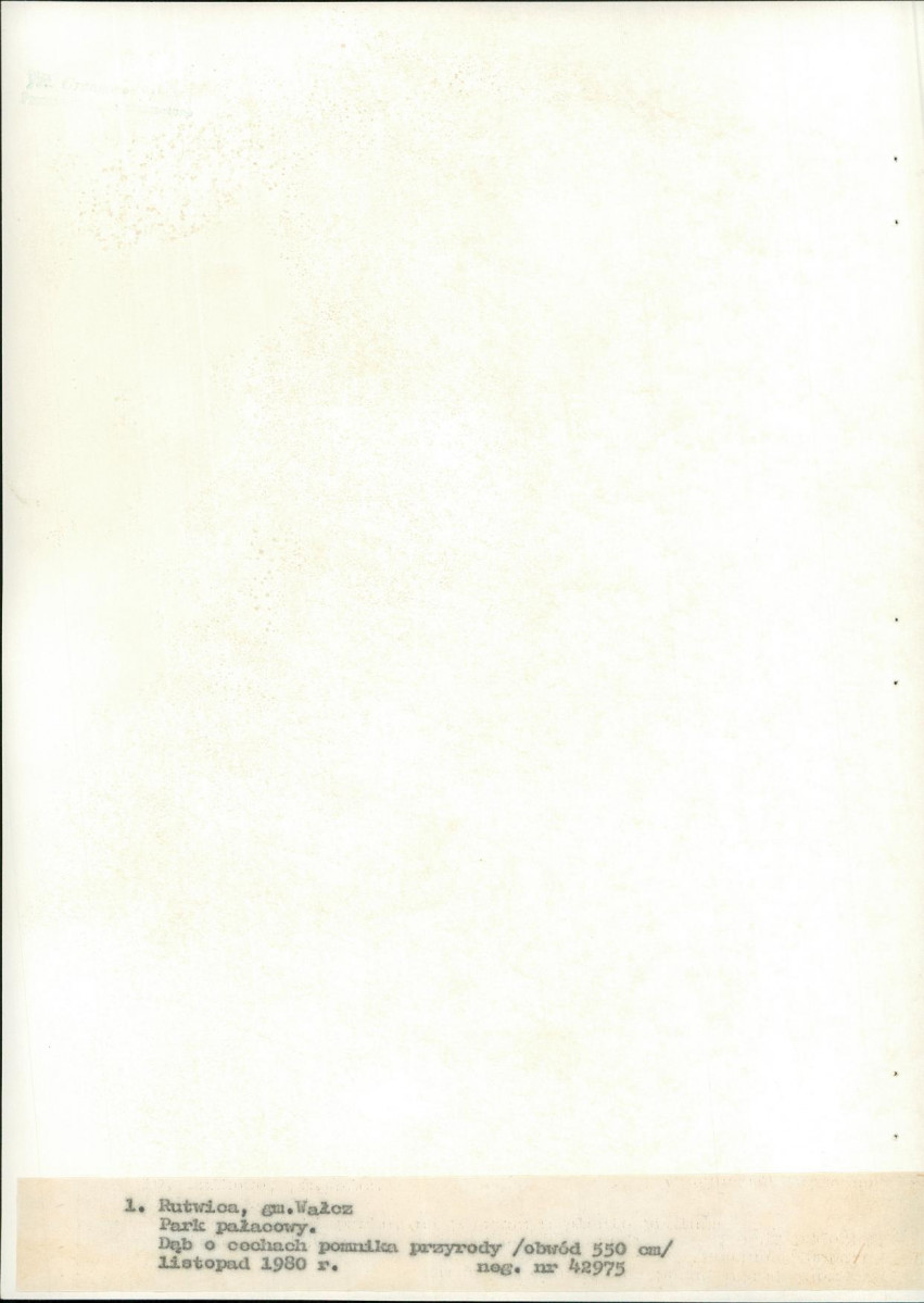 EP - Ewidencja parkowa, skan nr 22