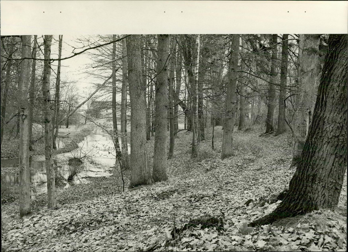 EP - Ewidencja parkowa, skan nr 23