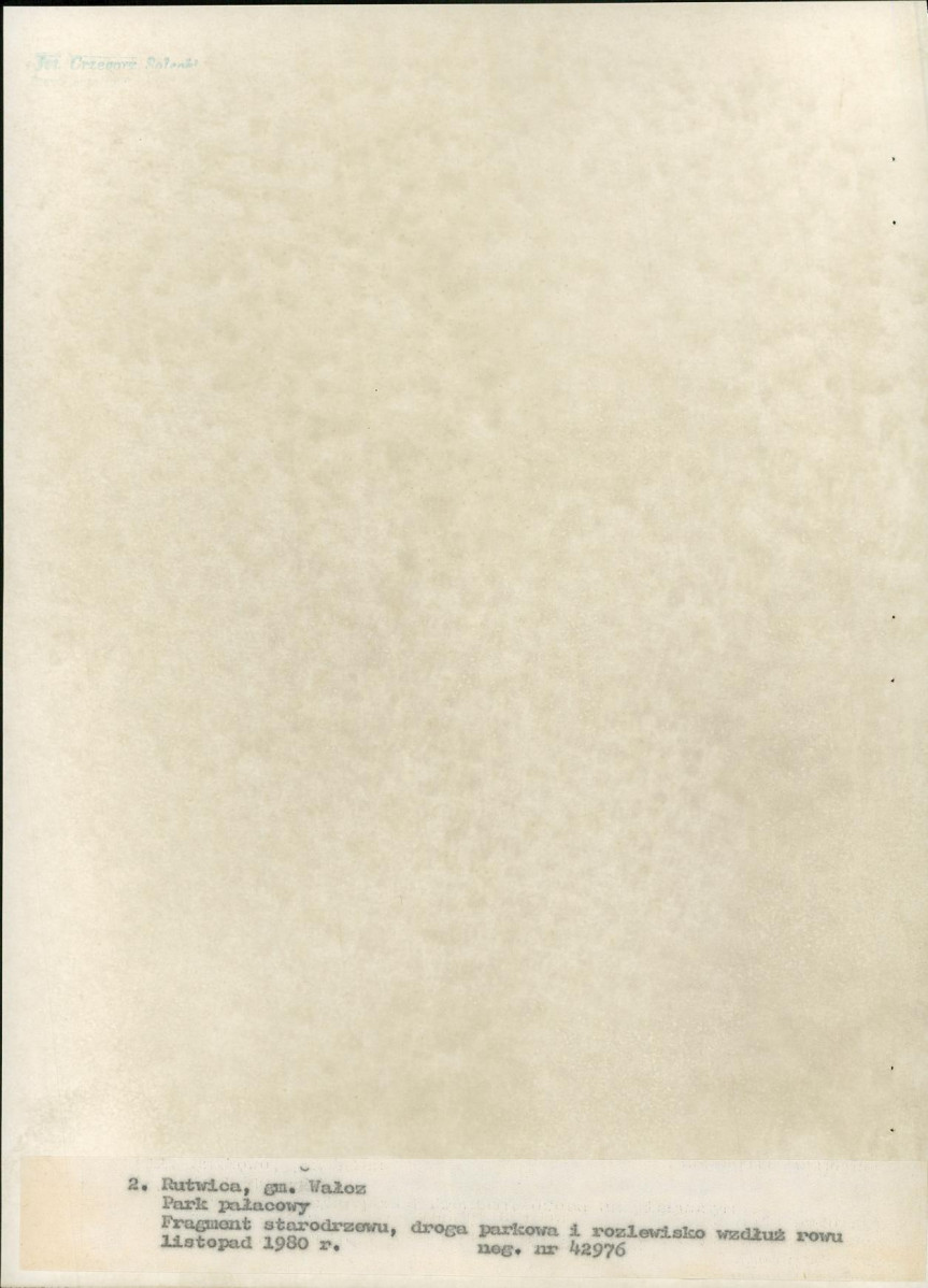 EP - Ewidencja parkowa, skan nr 24