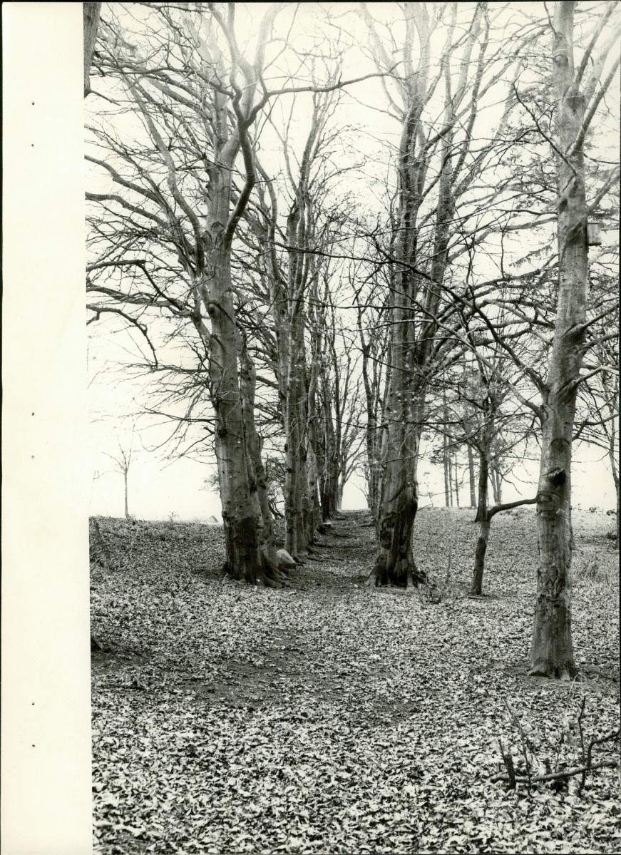 EP - Ewidencja parkowa, skan nr 21
