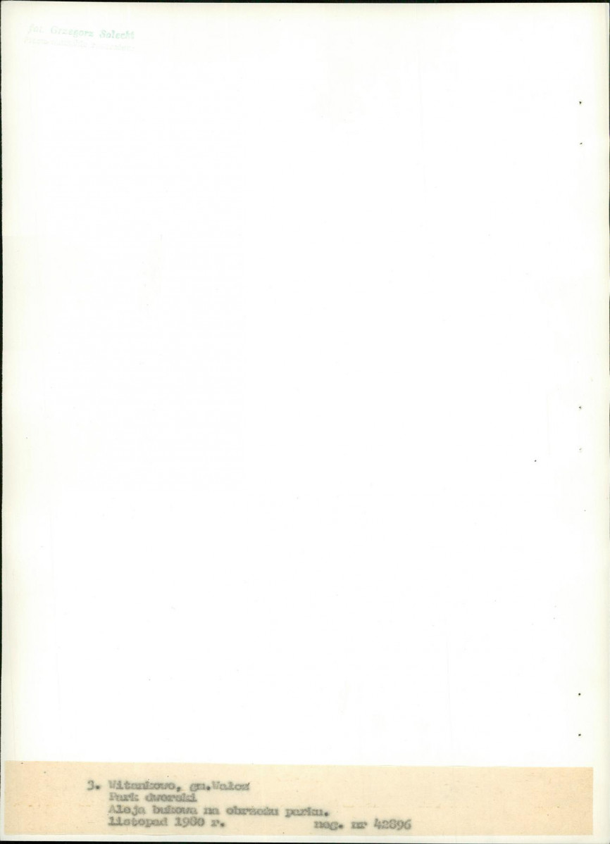 EP - Ewidencja parkowa, skan nr 22