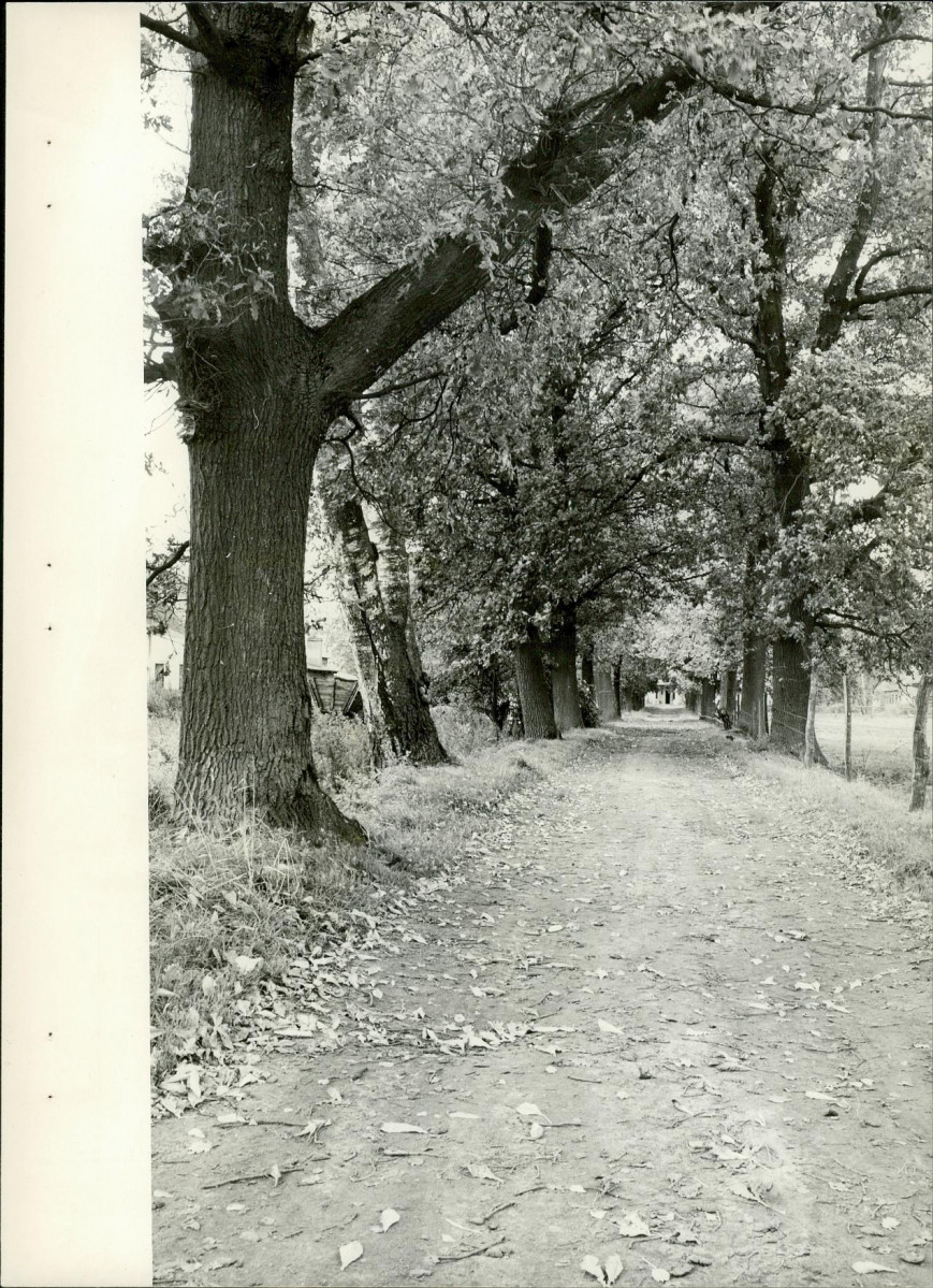 Ewidencja parkowa, skan nr 16