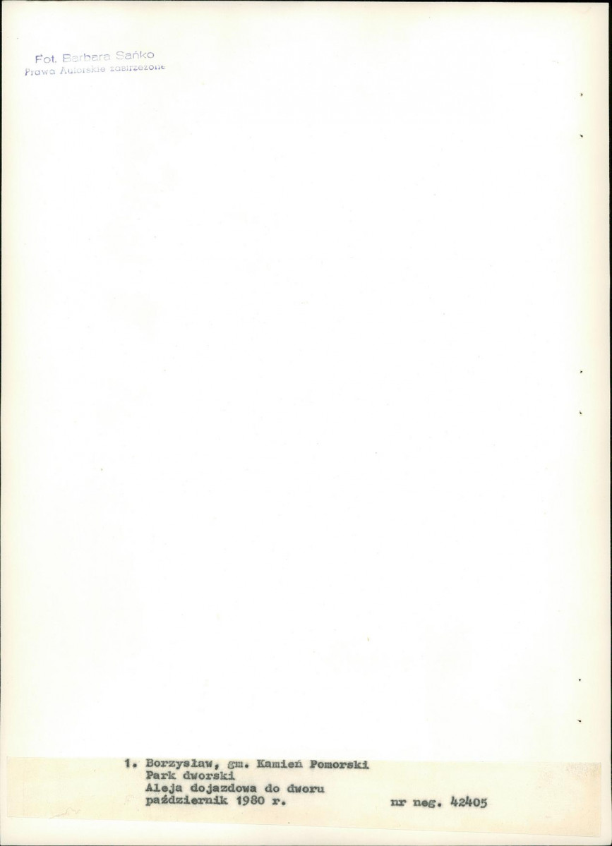 Ewidencja parkowa, skan nr 17