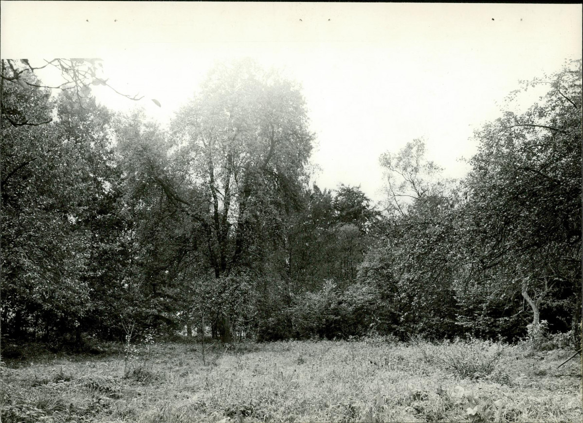 Ewidencja parkowa, skan nr 20