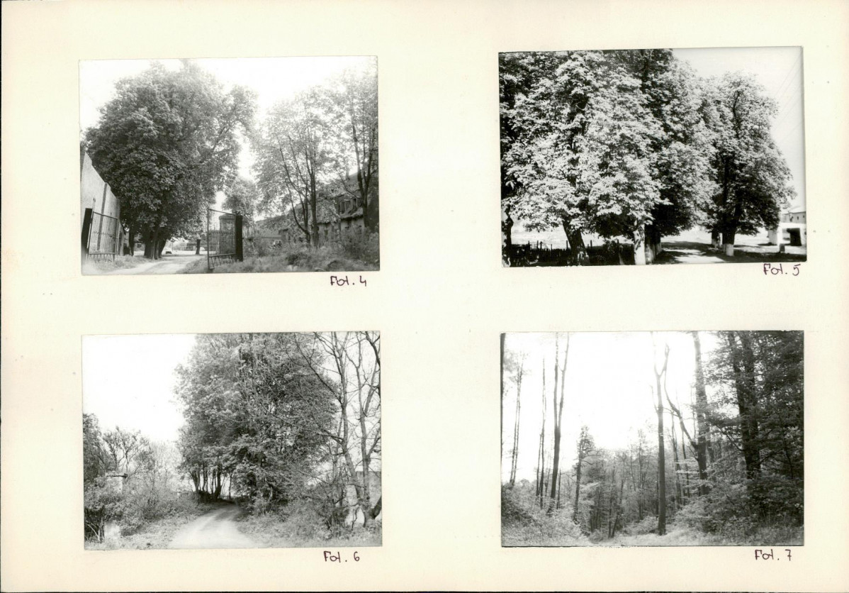 Karta biała, skan nr 8