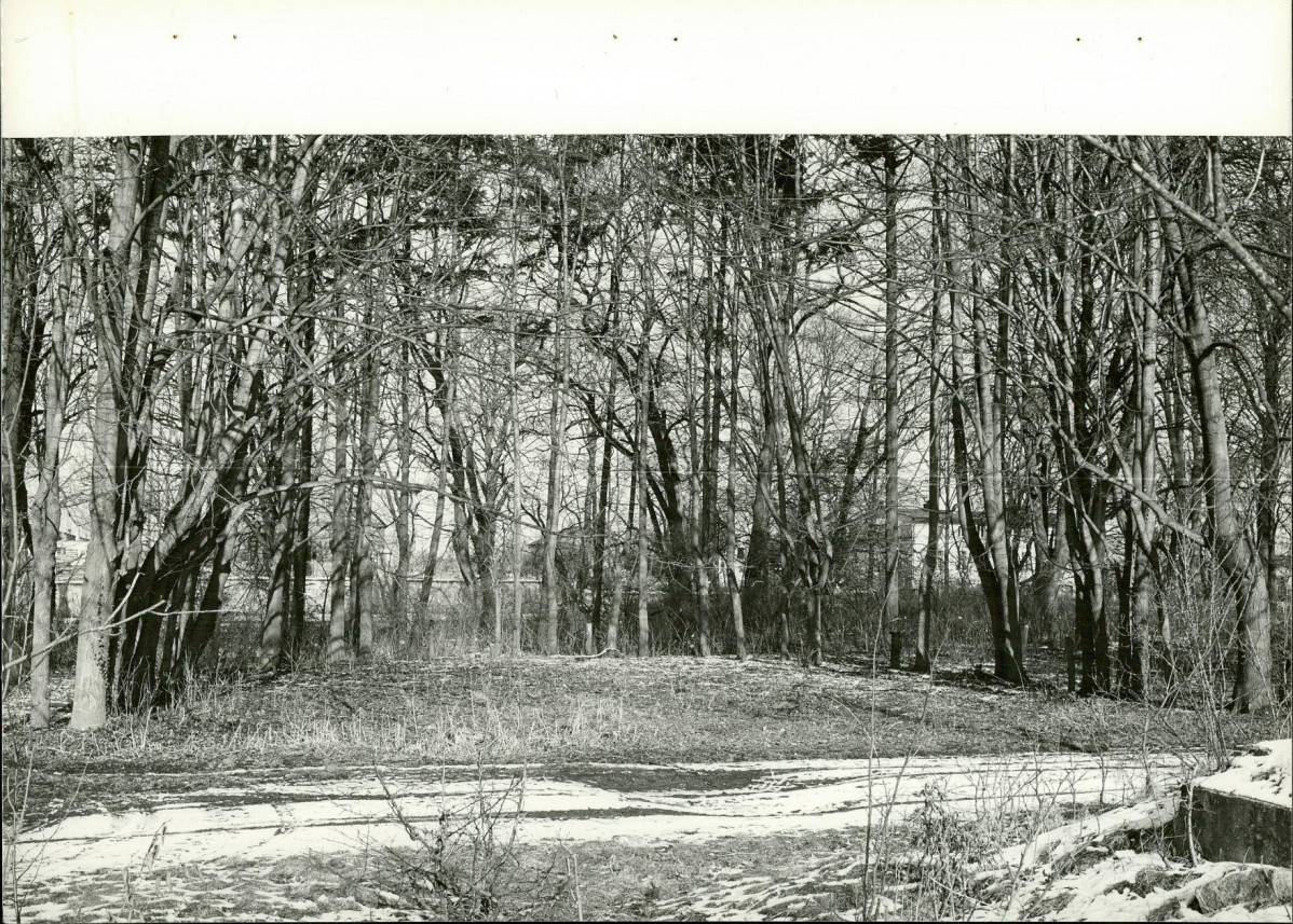 EP - Ewidencja parkowa, skan nr 36