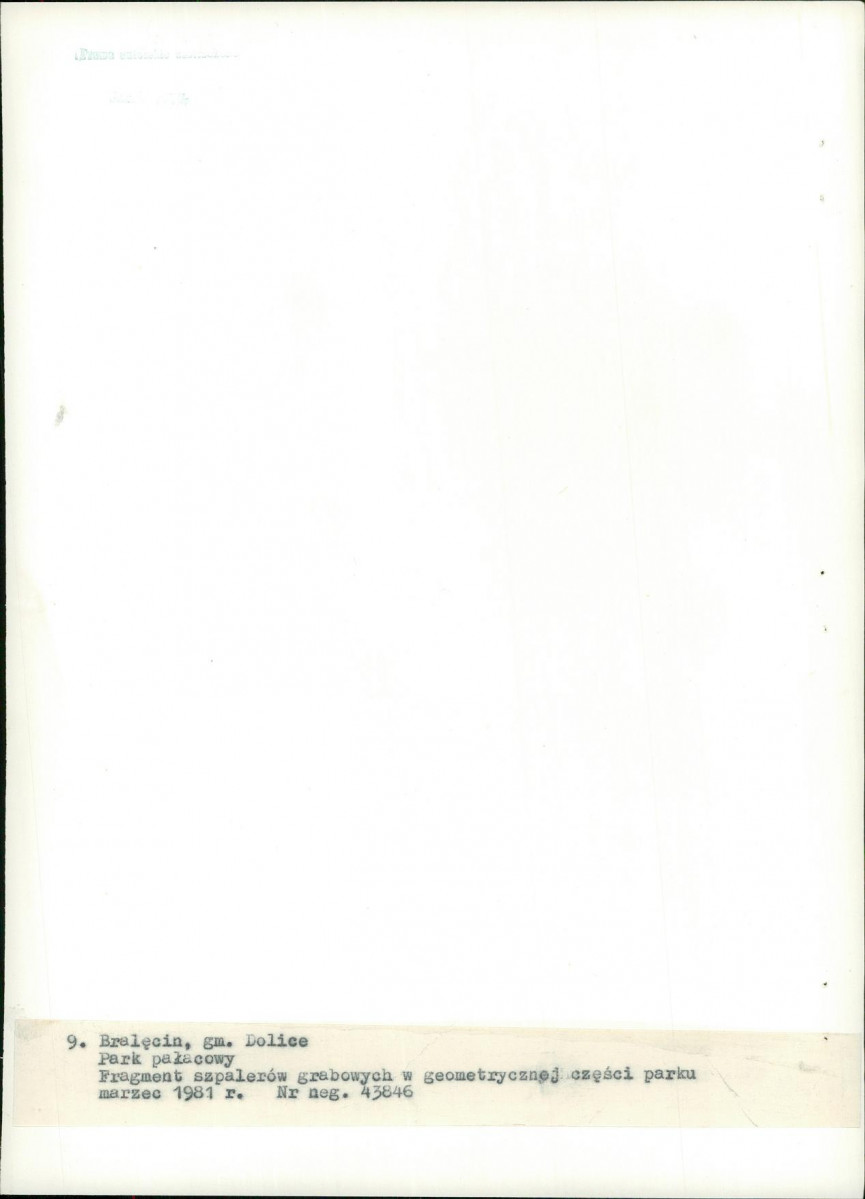 EP - Ewidencja parkowa, skan nr 39