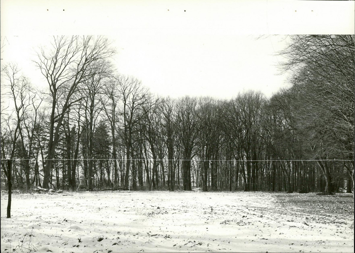 EP - Ewidencja parkowa, skan nr 40