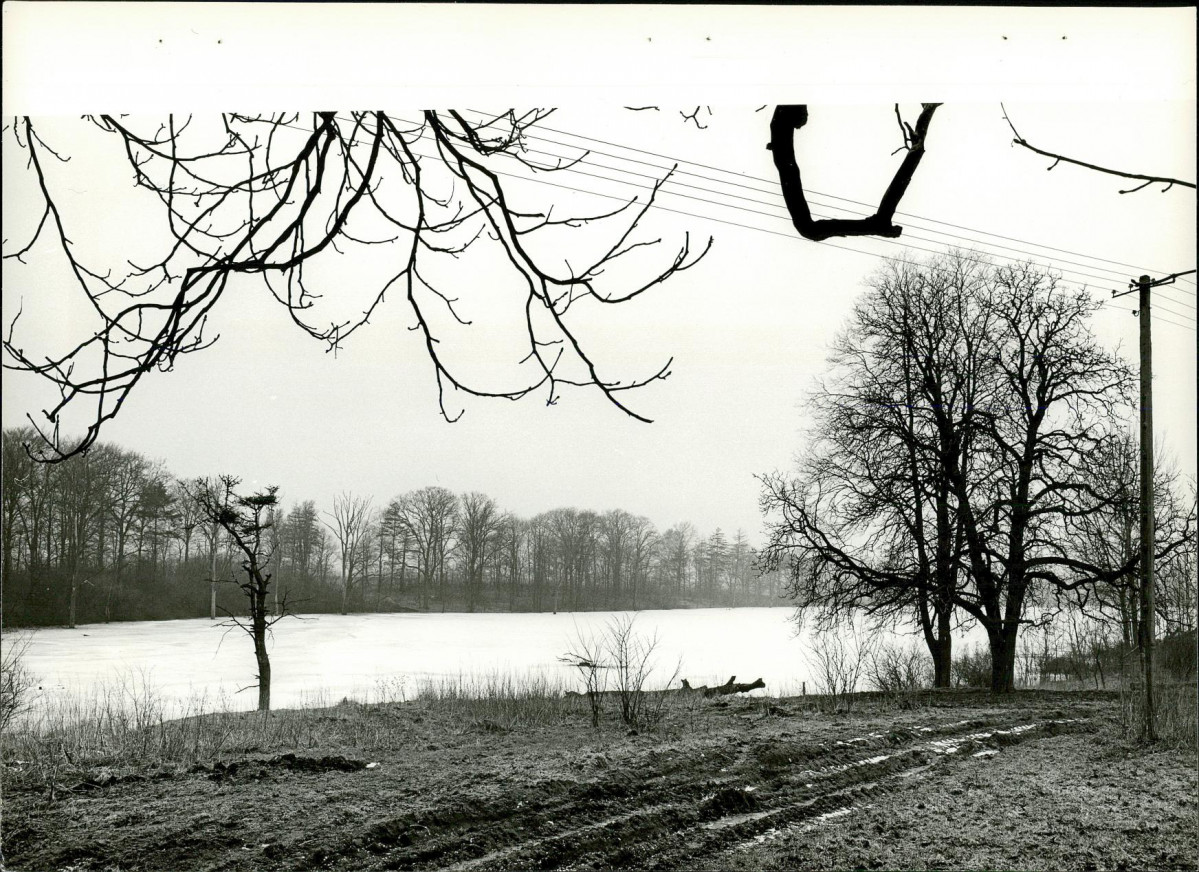 EP - Ewidencja parkowa, skan nr 22