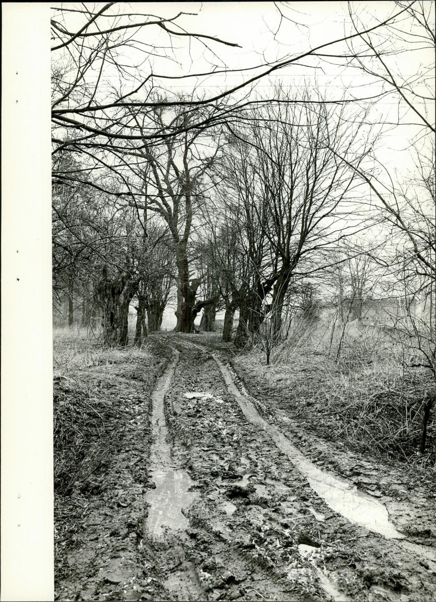 EP - Ewidencja parkowa, skan nr 26