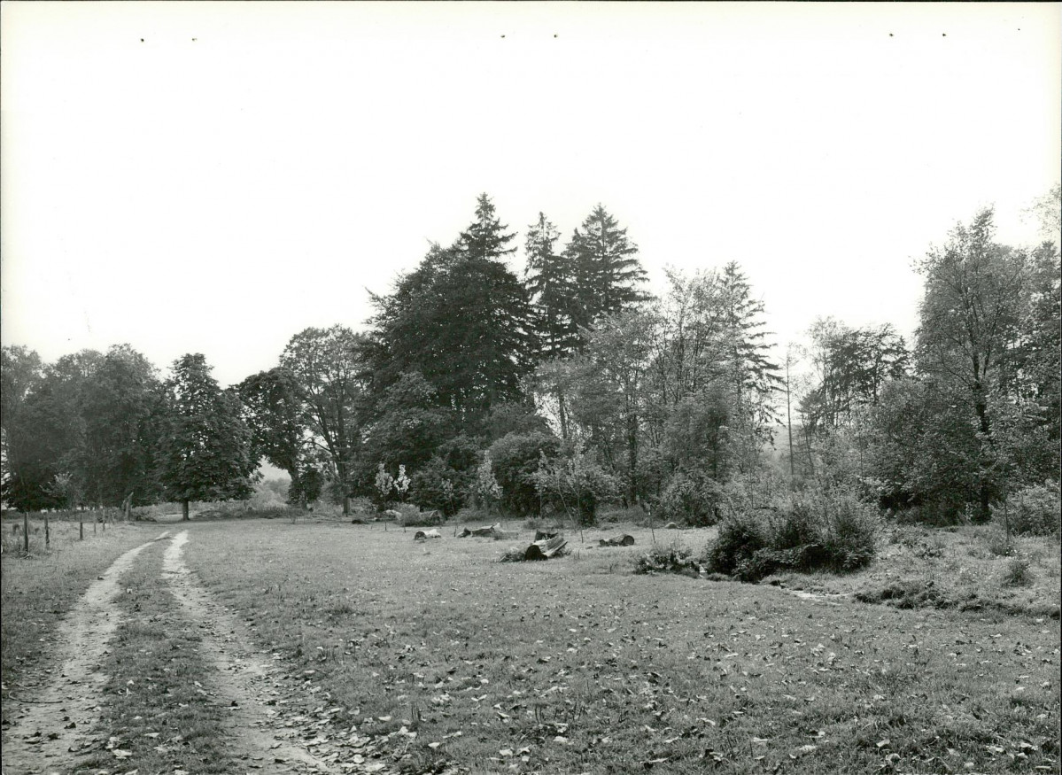 Ewidencja parkowa, skan nr 22