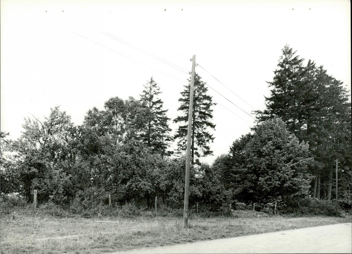 Ewidencja parkowa, skan nr 24