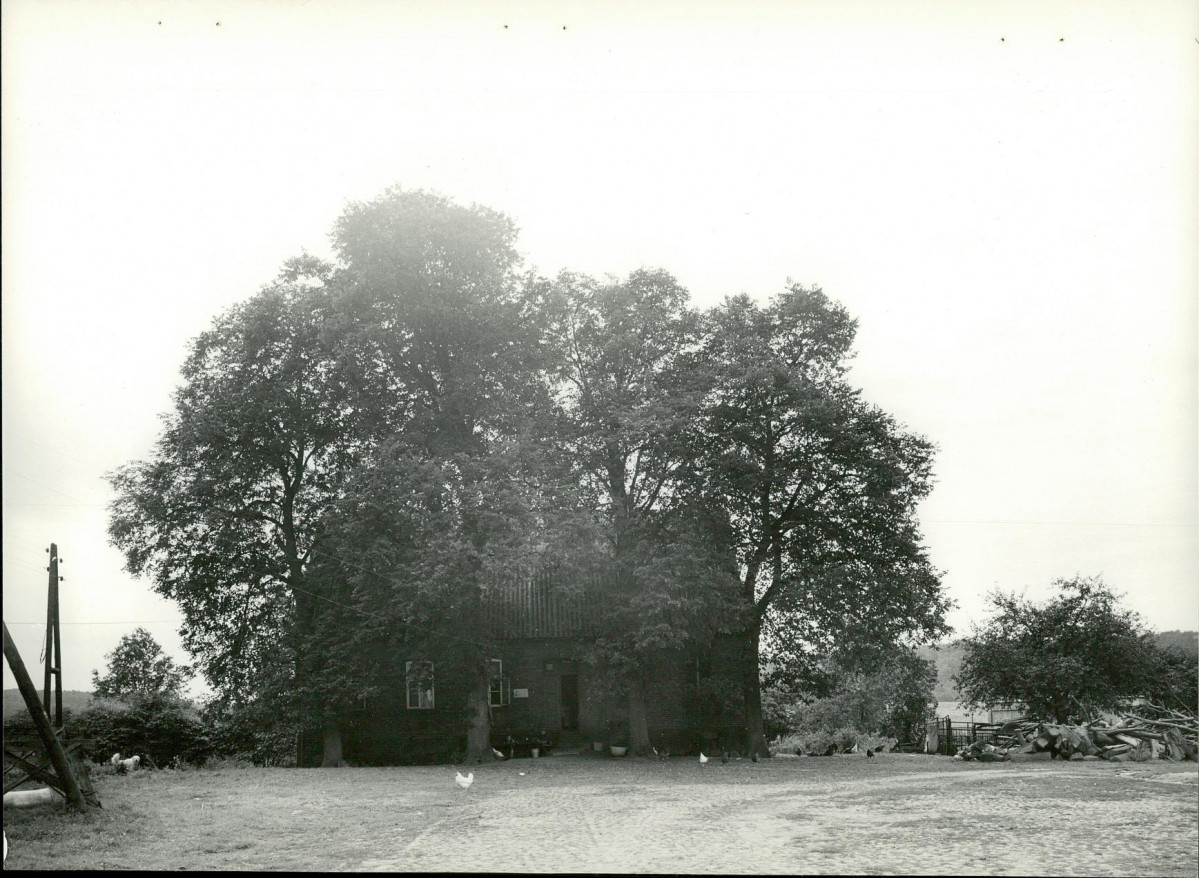 EP - Ewidencja parkowa, skan nr 17