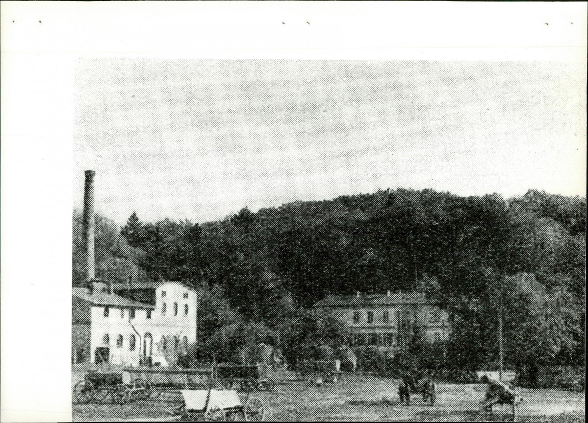 Ewidencja parkowa, skan nr 15