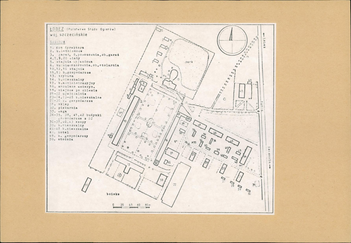 KB - Karta biała, skan nr 8