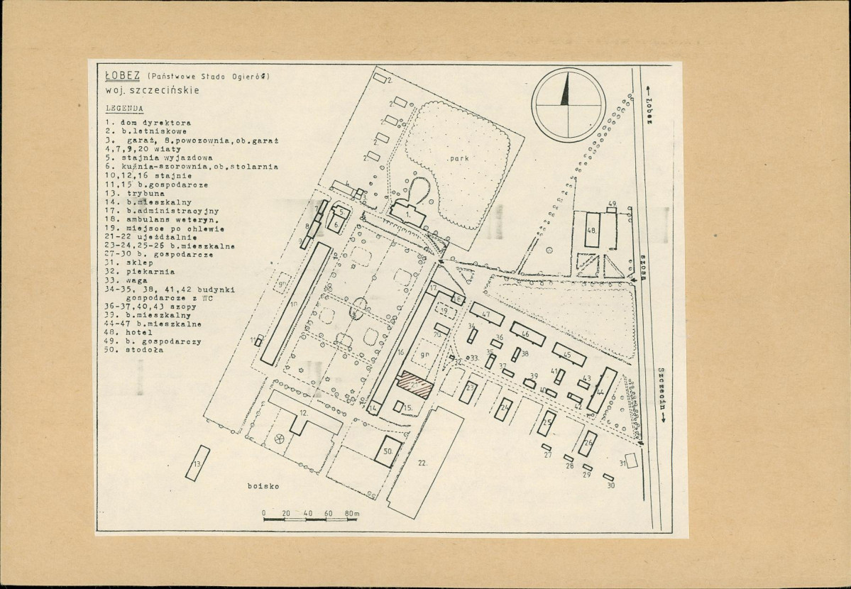 KB - Karta biała, skan nr 8