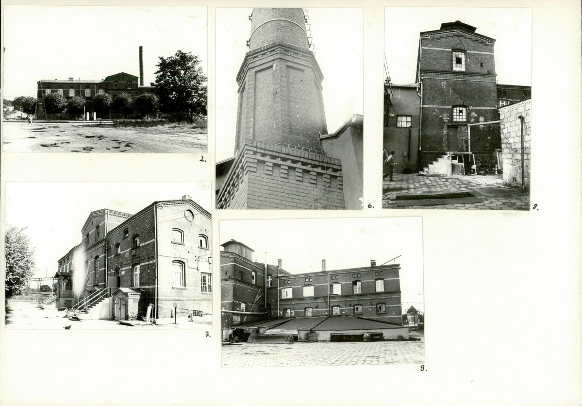 Karta biała, skan nr 10