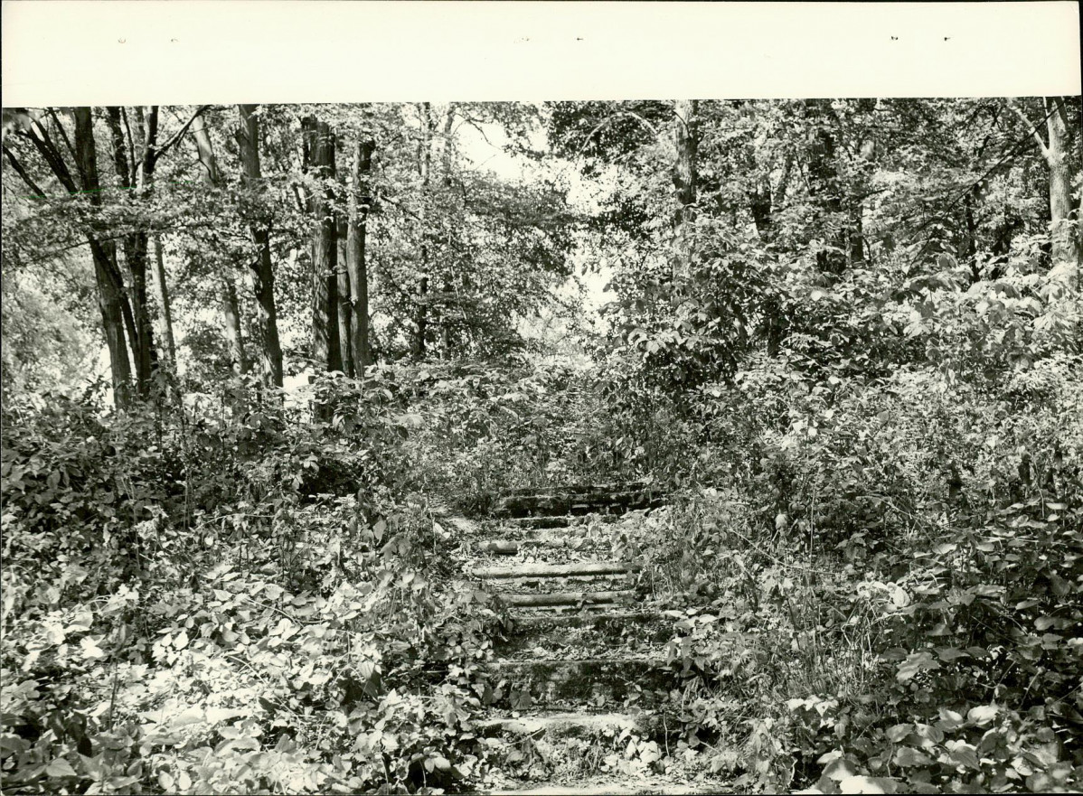 Ewidencja parkowa, skan nr 36