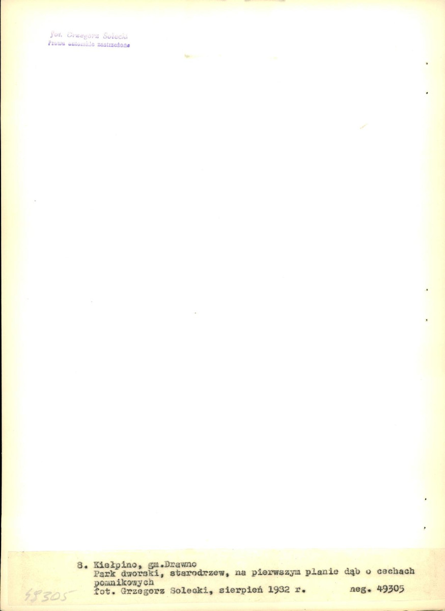 EP - Ewidencja parkowa, skan nr 36