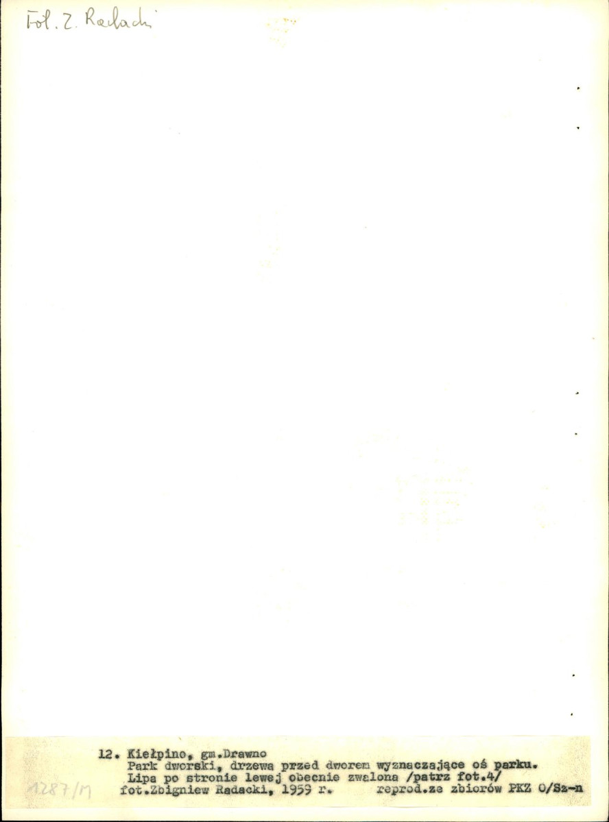EP - Ewidencja parkowa, skan nr 44
