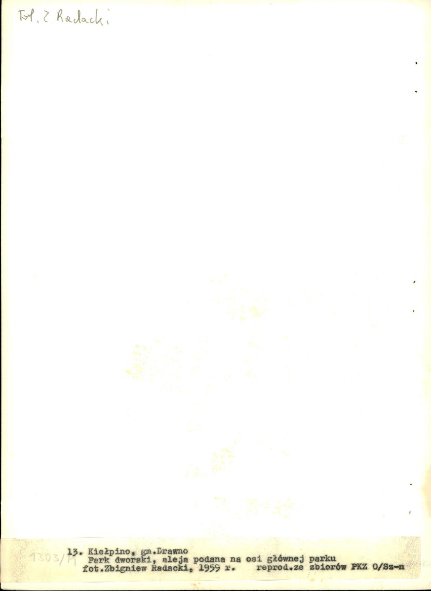EP - Ewidencja parkowa, skan nr 46