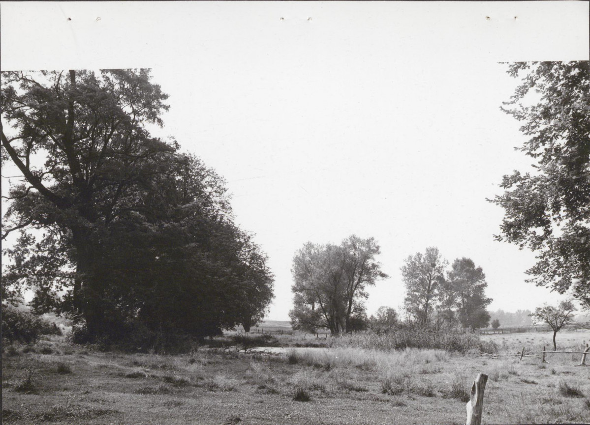 Ewidencja parkowa, skan nr 22