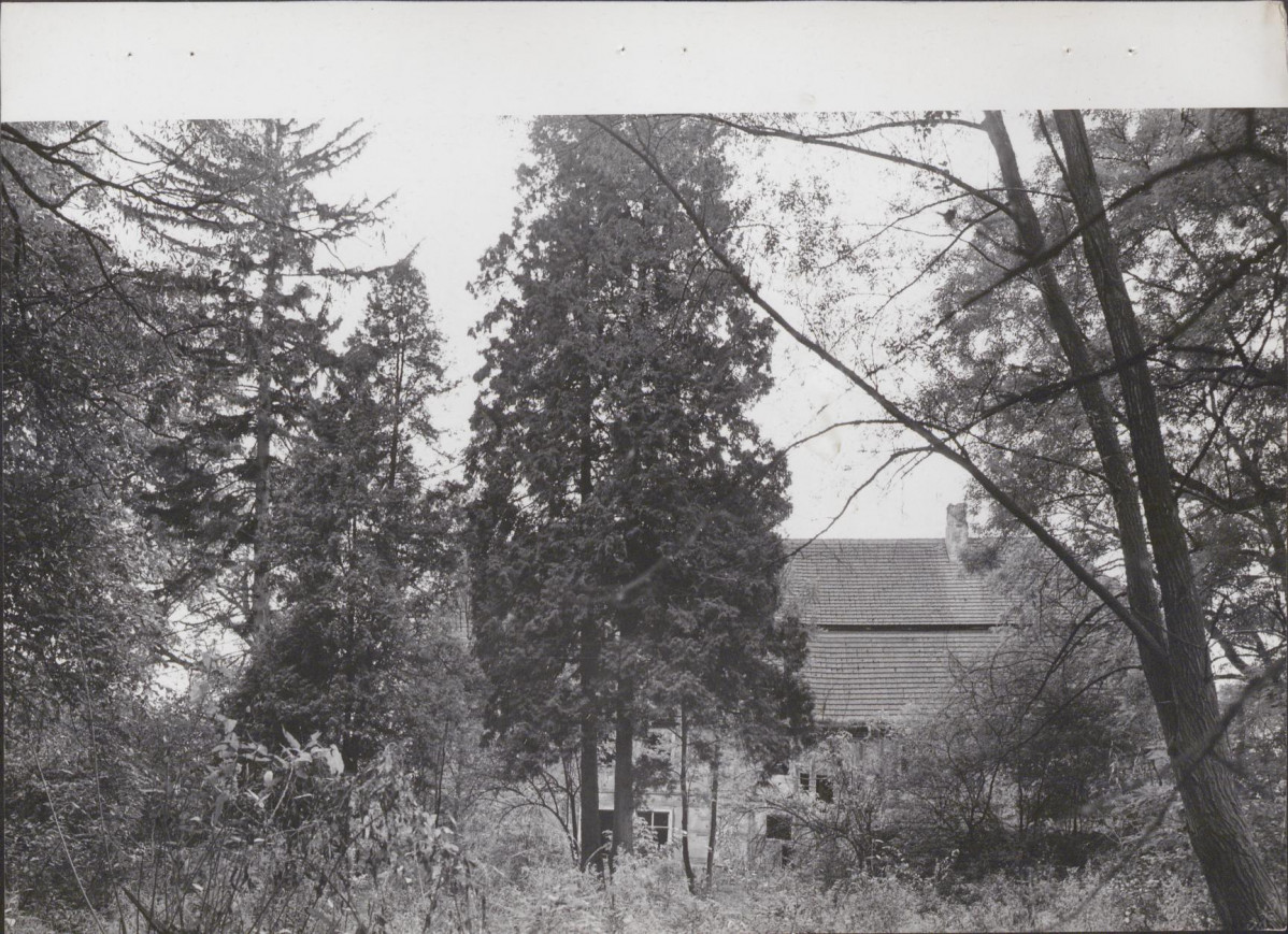 Ewidencja parkowa, skan nr 24