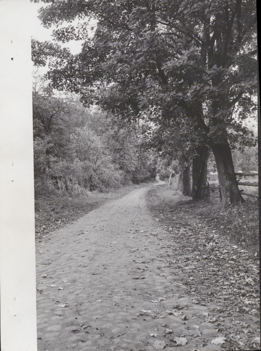 Ewidencja parkowa, skan nr 34