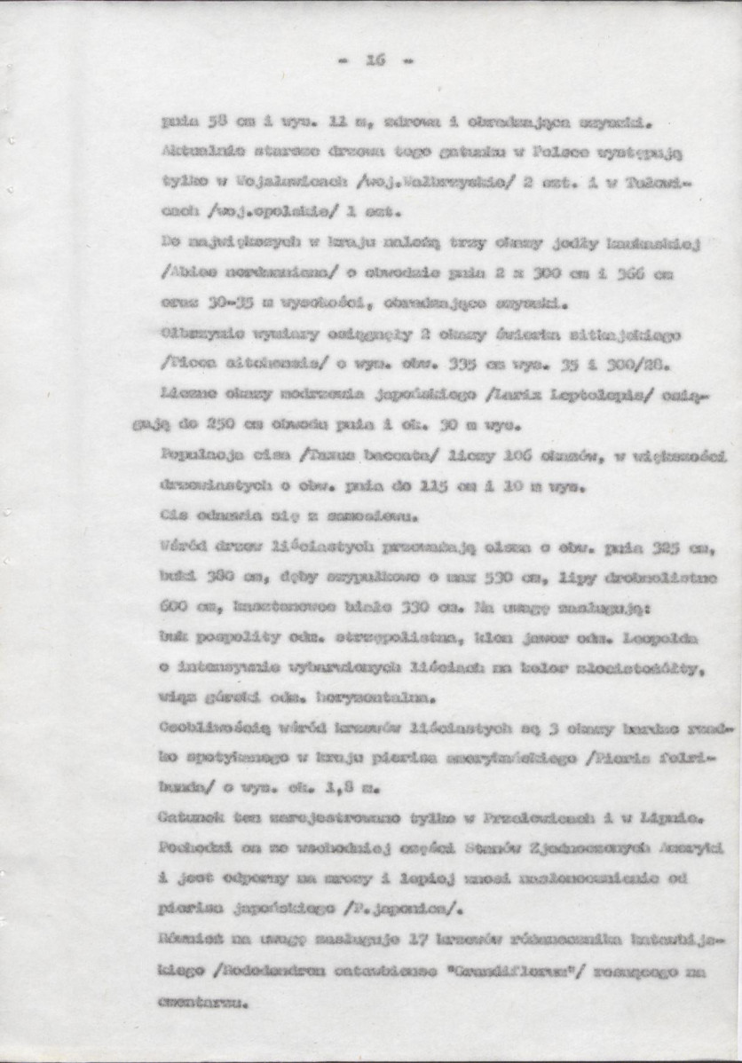 Ewidencja parkowa, skan nr 21