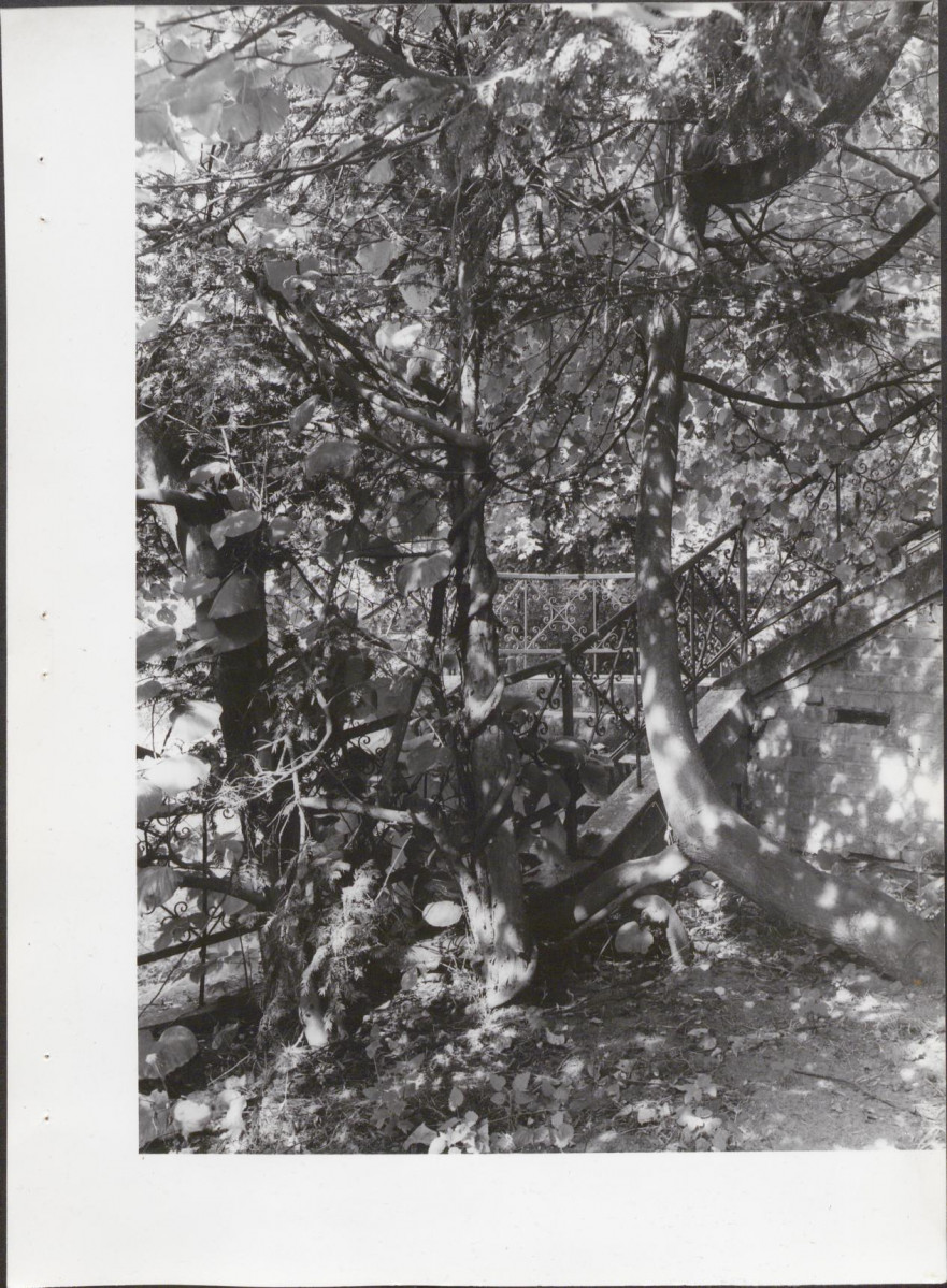 Ewidencja parkowa, skan nr 34