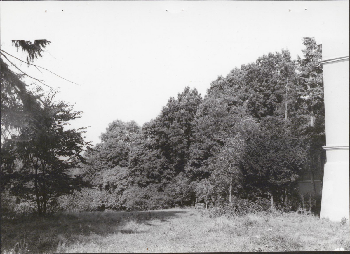 Ewidencja parkowa, skan nr 38