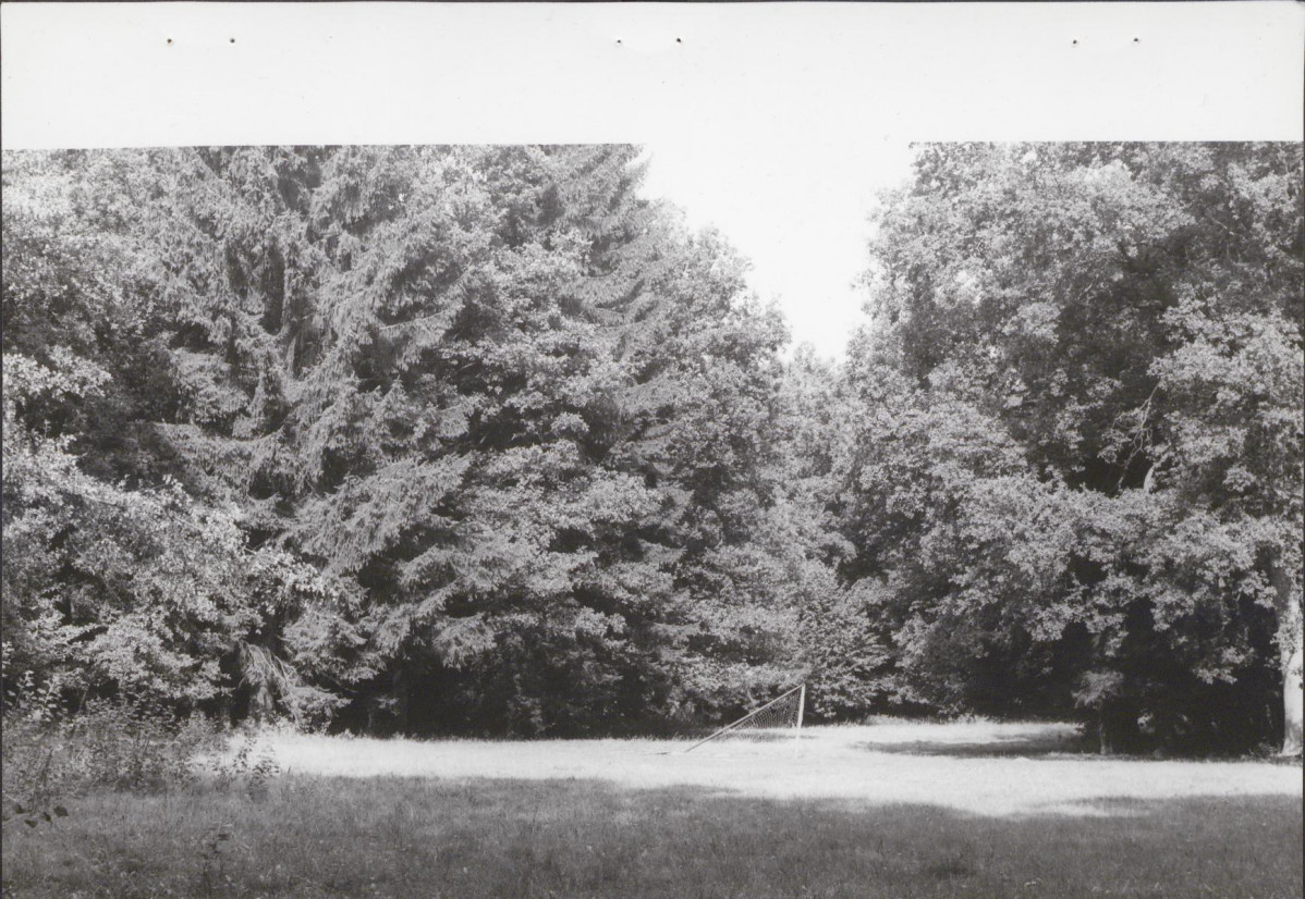 Ewidencja parkowa, skan nr 42