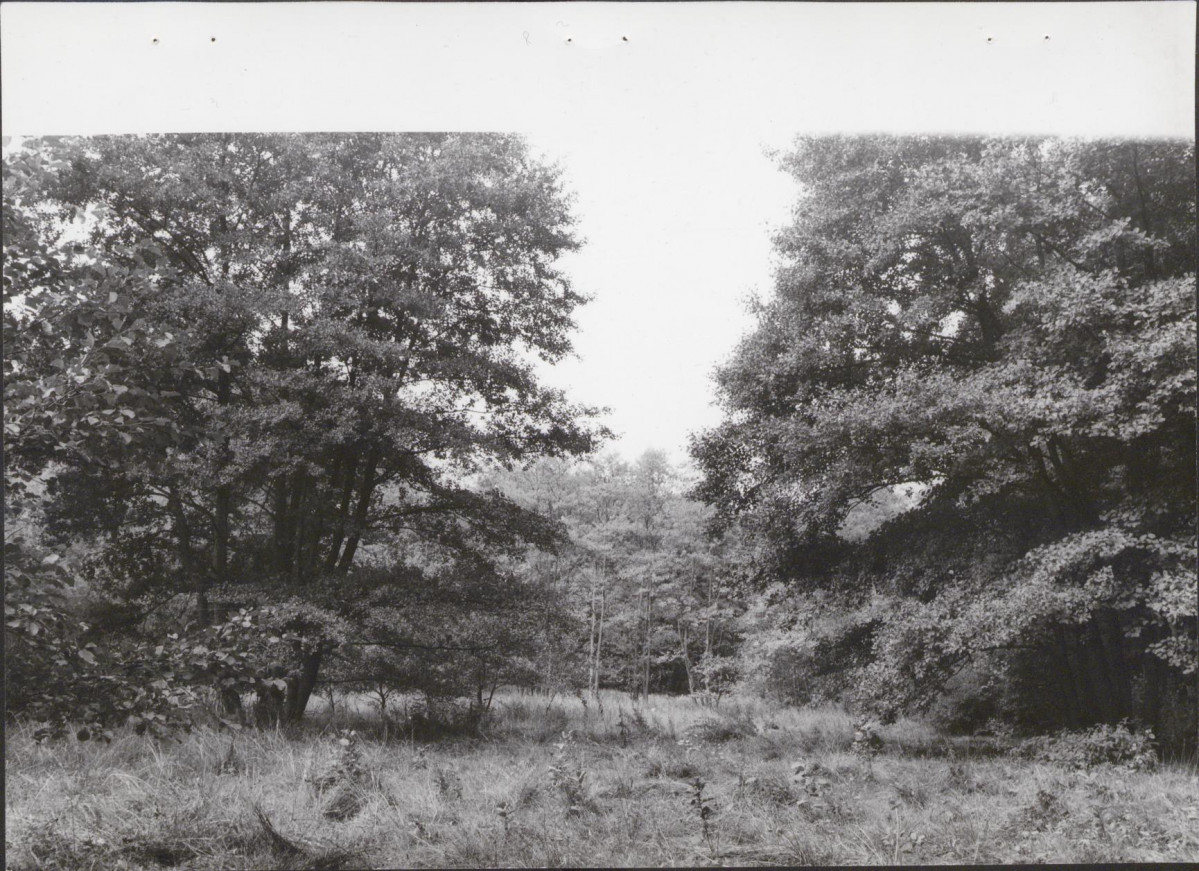 Ewidencja parkowa, skan nr 44