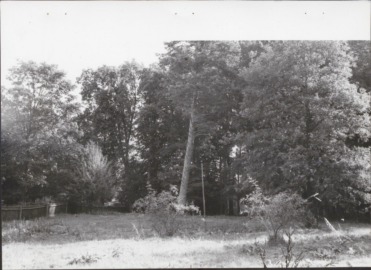 Ewidencja parkowa, skan nr 48