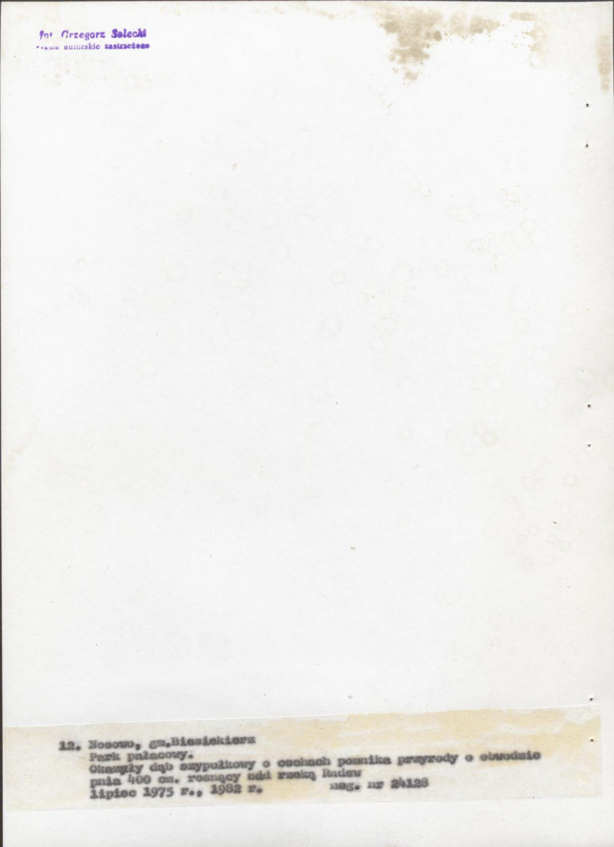 Ewidencja parkowa, skan nr 51