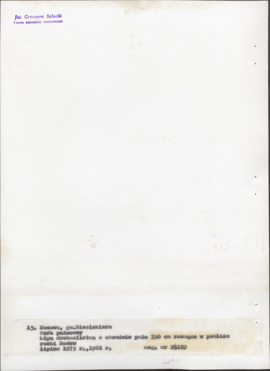 Ewidencja parkowa, skan nr 53