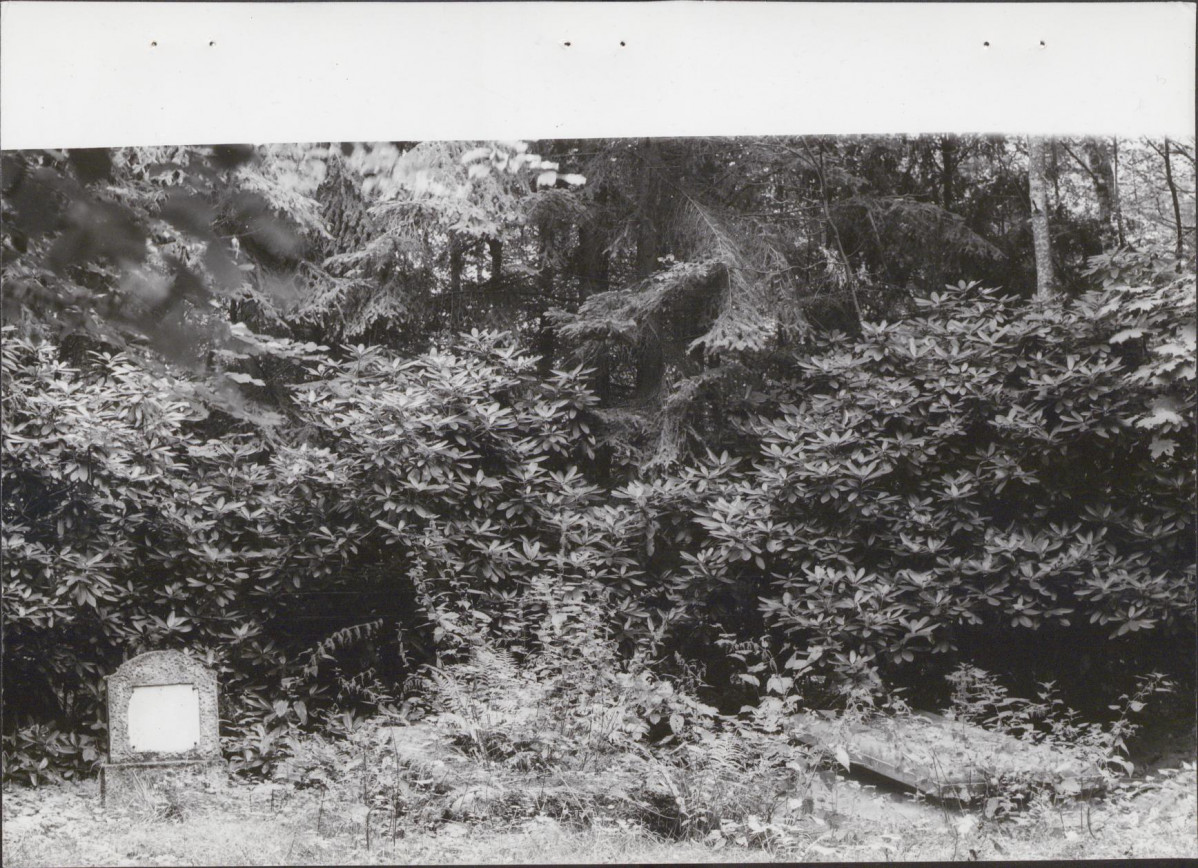 Ewidencja parkowa, skan nr 54