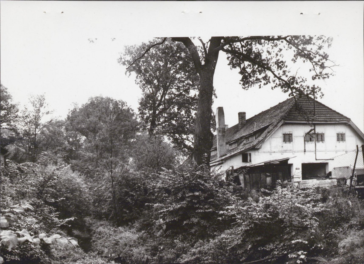 EP - Ewidencja parkowa, skan nr 36