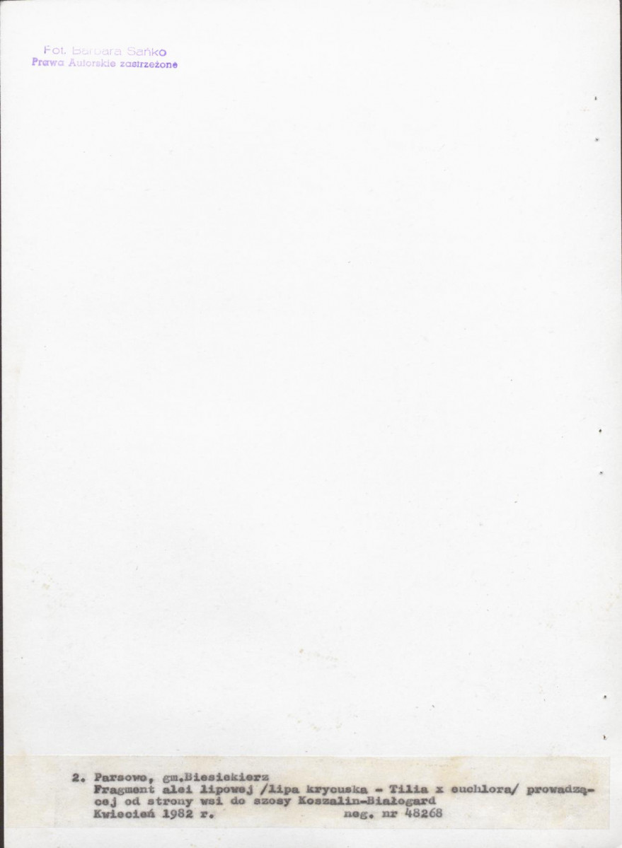 Ewidencja parkowa, skan nr 40