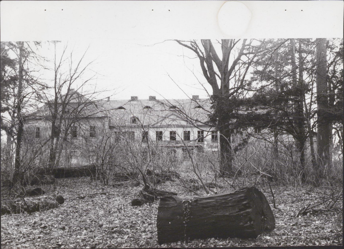 Ewidencja parkowa, skan nr 49