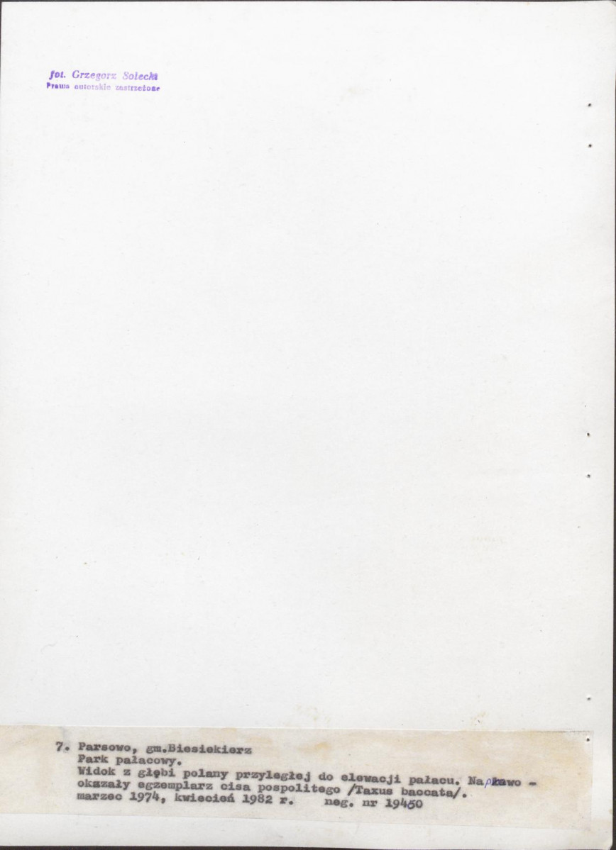 Ewidencja parkowa, skan nr 50