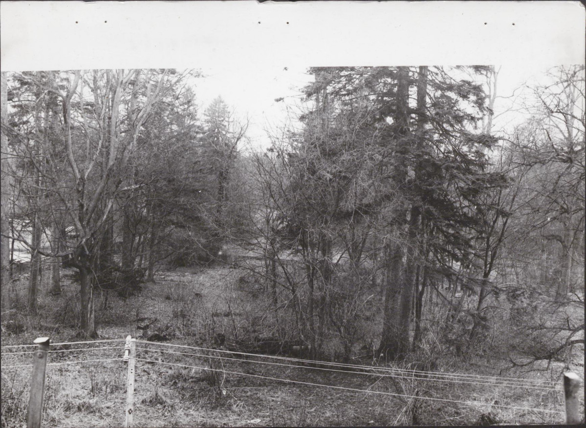 Ewidencja parkowa, skan nr 51