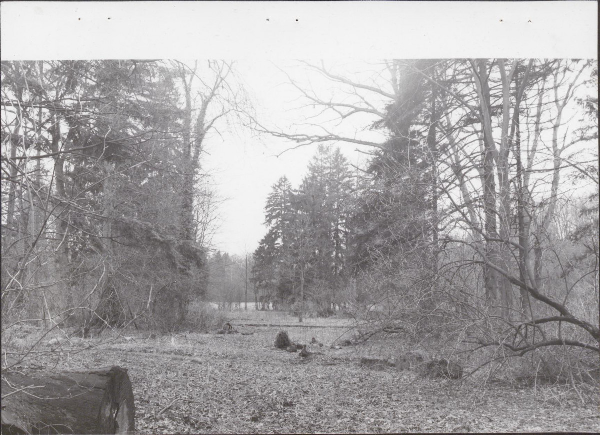 Ewidencja parkowa, skan nr 53