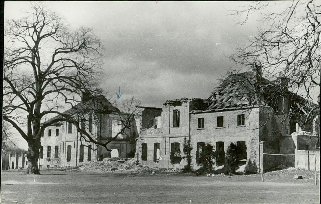 Karta zielona, skan nr 6