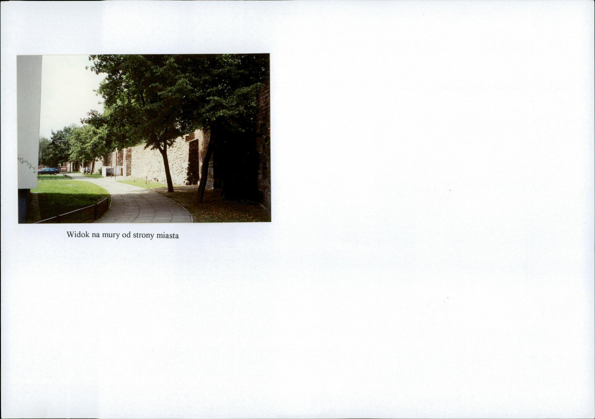 Karta biała, skan nr 10