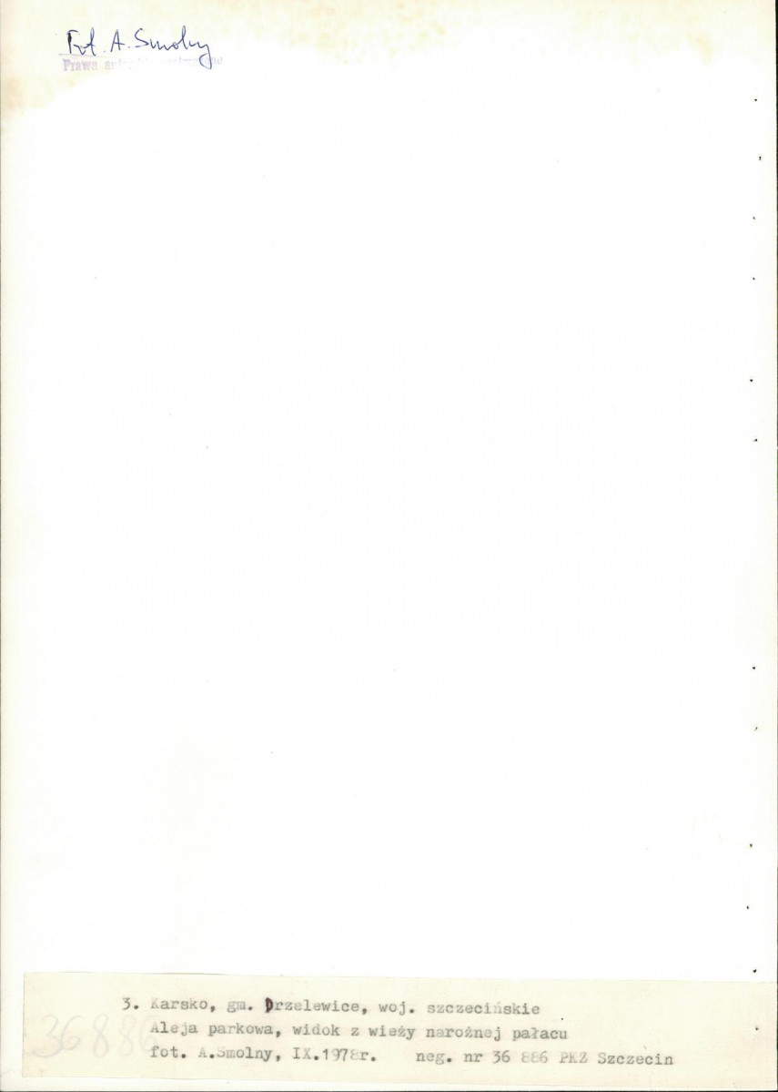 Ewidencja parkowa, skan nr 23