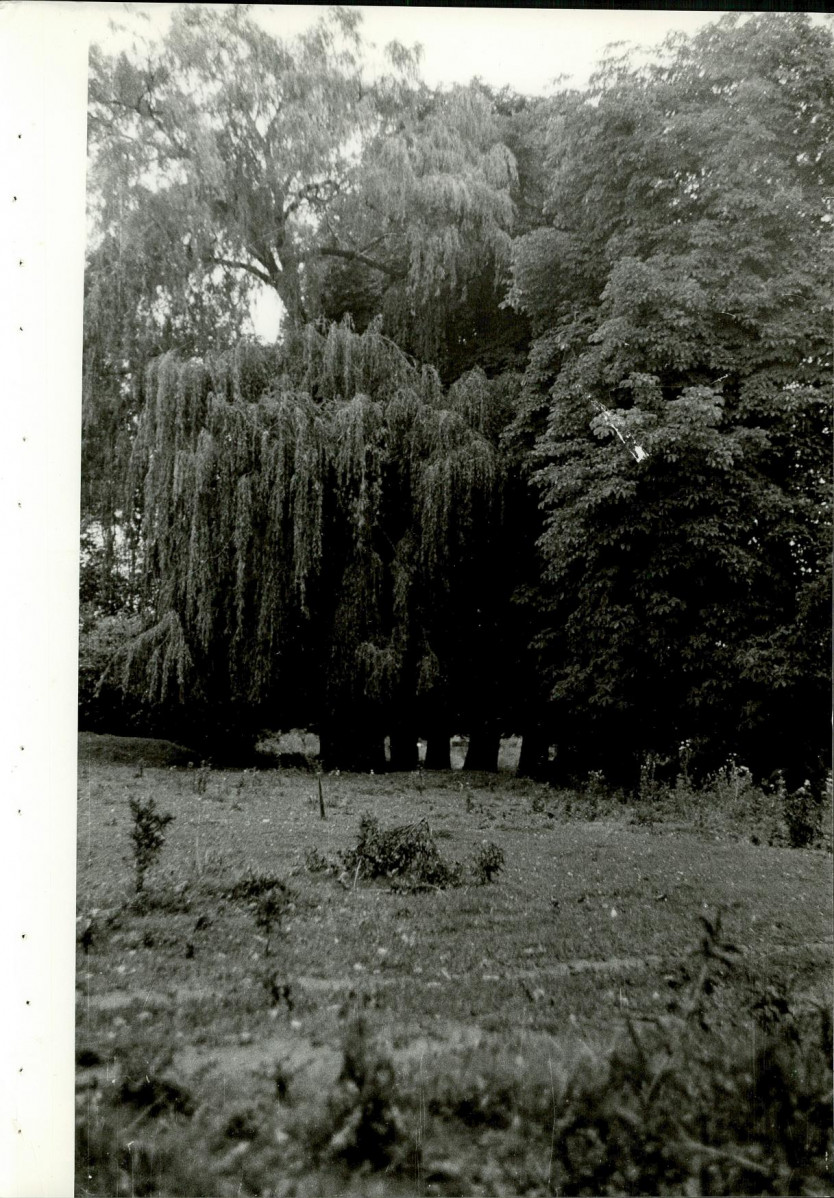 Ewidencja parkowa, skan nr 24