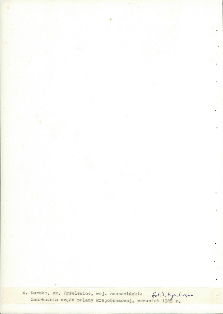 Ewidencja parkowa, skan nr 25